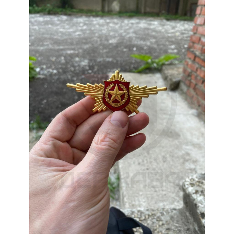Парадный знак Мотострелковых войск, Сухопутные войска купить