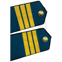 Погоны обр. 1943г., повседневные, сержант авиации, СССР купить