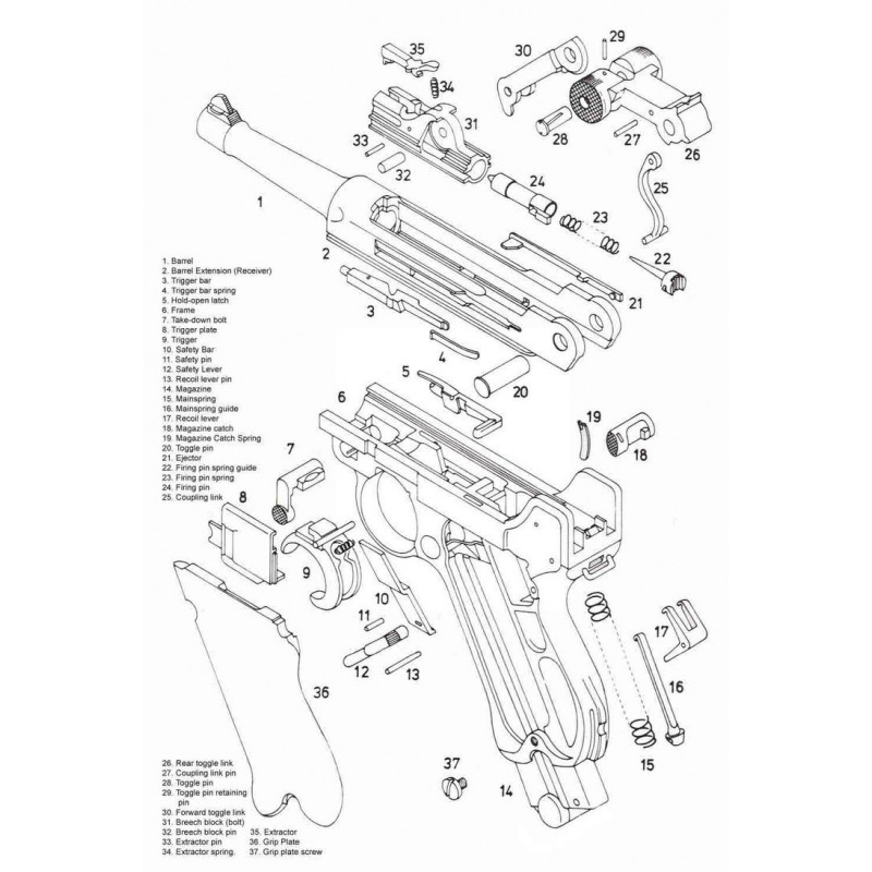 Мушка пистолета Luger P-08, Держава Армс